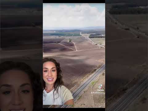 The Battle Of Armageddon