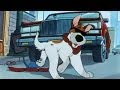 Oliver Company Why Should I Worry Icelandic