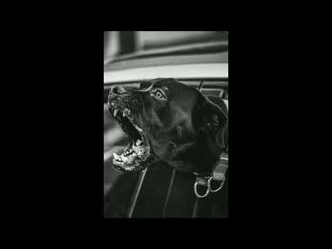 "Donnerstag" - Genetikk x OG Keemo | Type Beat | MoeNMQ