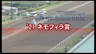 【大井競馬】ネモフィラ賞2021　レース速報