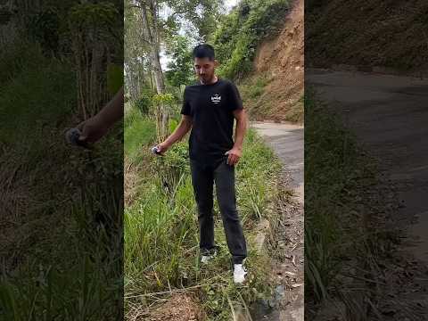 seguimos recorriendo pueblitos de Nariño 🇨🇴✨