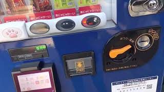 SUNTORY 肉球販売機を触ってみた！