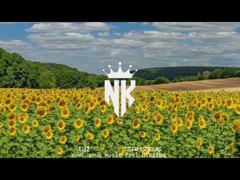 TII DAMS FT DJ NANDRIX - POU LA VIE (ZOUKREMIX) PAROLE