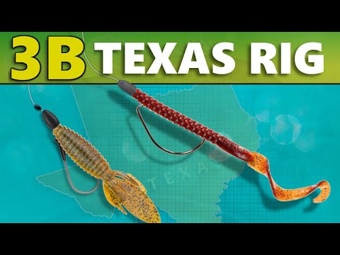 INTERMEDIATE GUIDE to BASS FISHING: 3B - Texas Rig