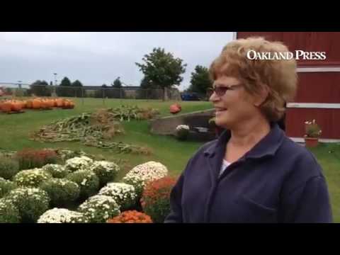 Maribeth Ruggles shows all this farm stand @ Fisk Farm near Walmart in White Lake