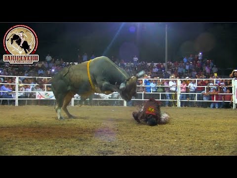download lagu mp3 mp4 Toro Azteca, download mp3 Toro Azteca free download mp3, download mp3 Toro Azteca