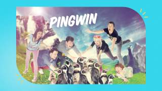 BREAKDOWN PINGWIN