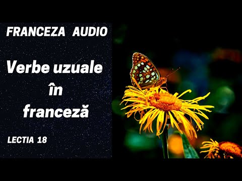 French AUDIO (18) - Usual verbs in French (Verbs in 1st group) French online course (2020)