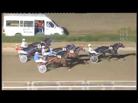 Trotto Corse 12 Agosto 2017