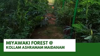 Miyawaki Forest at Ashramam Maidanam, Kollam