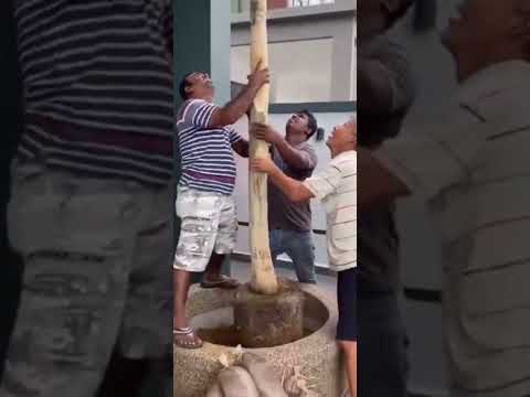 Facade Tree Planter on Balcony Bestari Klang | 洋房阳台种树