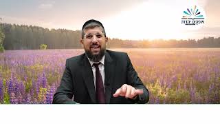 נחמו נחמו עמי | הילולת זרע שמשון | ו' אלול תשפ"ד | הרב אליהו עמר (הרב אליהו עמר) - התמונה מוצגת ישירות מתוך אתר האינטרנט יוטיוב. זכויות היוצרים בתמונה שייכות ליוצרה. קישור קרדיט למקור התוכן נמצא בתוך דף הסרטון