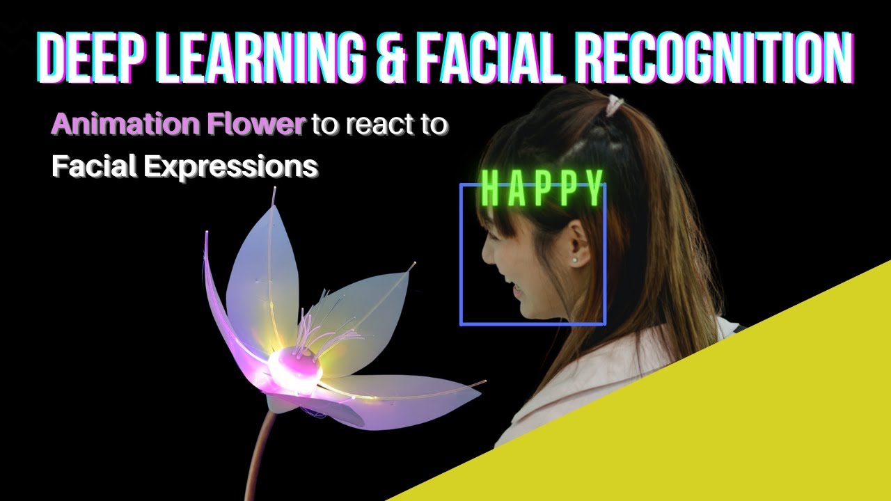 Deep Learning & Facial Recognition (TensorFlow Build)