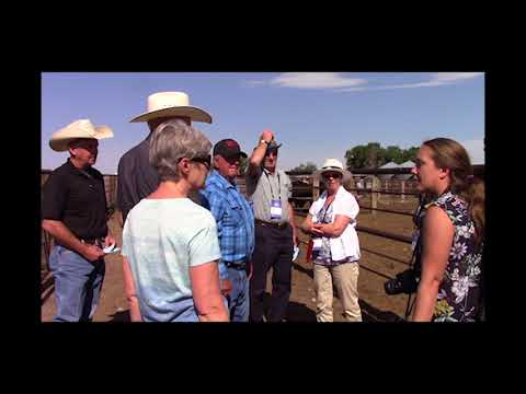 Sights & Scenes from ILC 2018