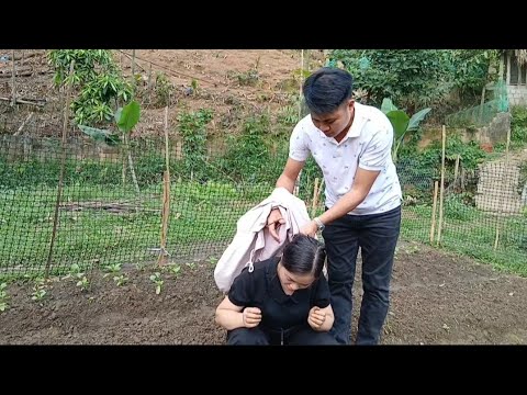 CEO Ha helps Nhan grow vegetables. Ha confessed her feelings to Nhan