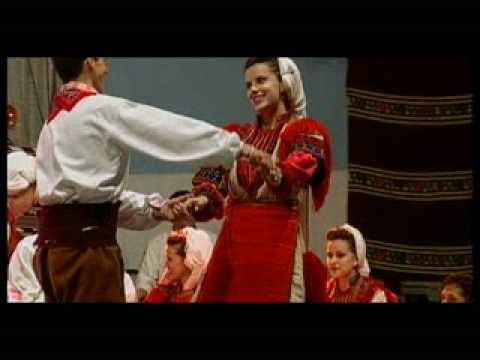 GUCA: NAJVECE KOLO NA SVETU - KoloMagico! - D.Lazarevic, D. Petrovic, M.Babic, B.Ostojic, D.Lazovic