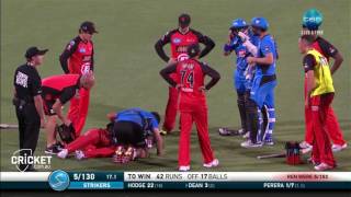 Nevill struck in face by bat