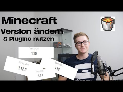 HostUnlimitedDE-Tutorials -  Change Minecraft version and use plugins |  HOST UNLIMITED TUTORIAL