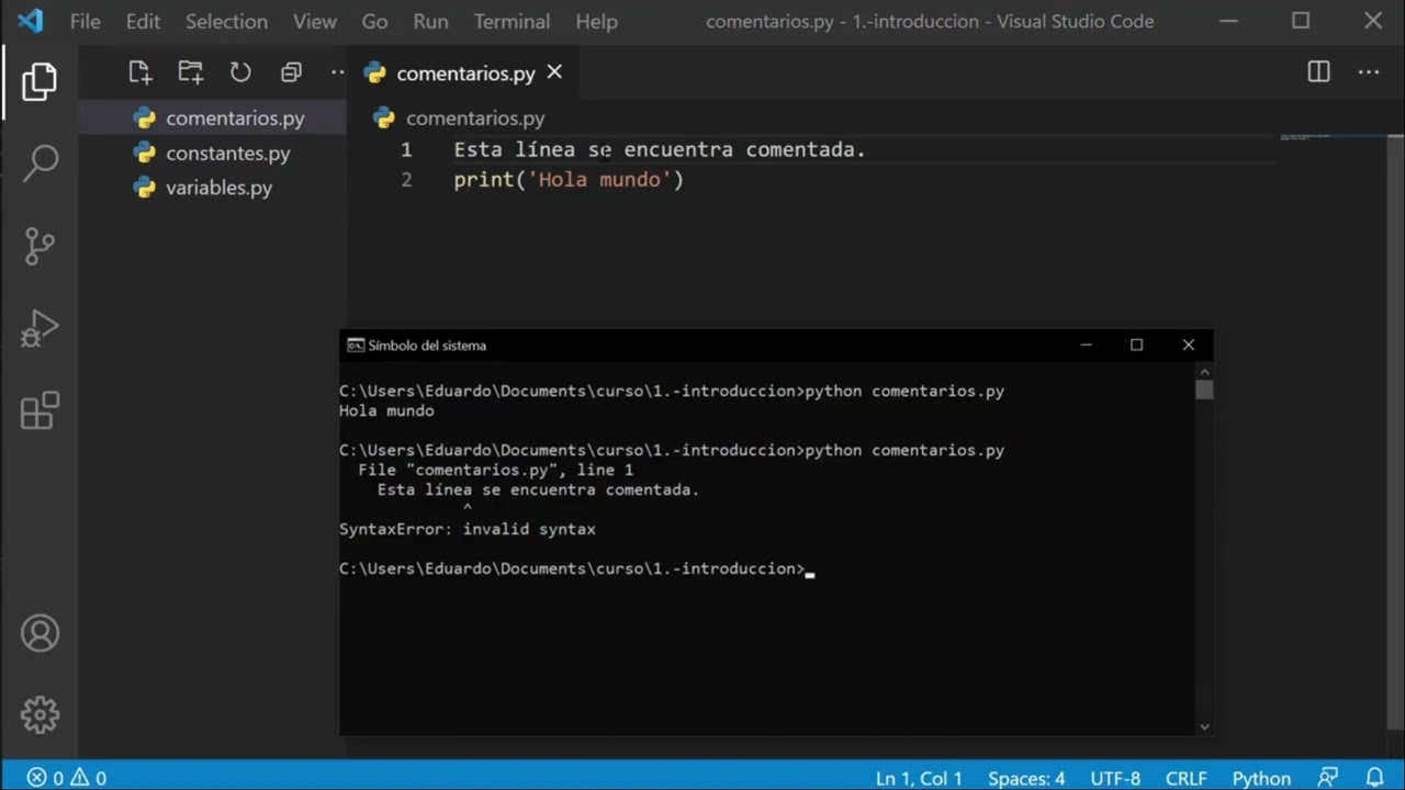 Comentarios en Python: Documentando tu Código de Forma Efectiva