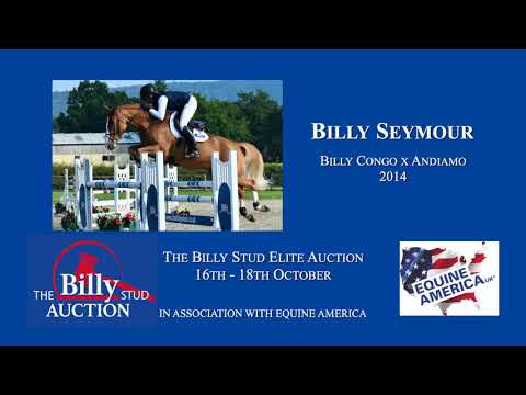 Billy Seymour