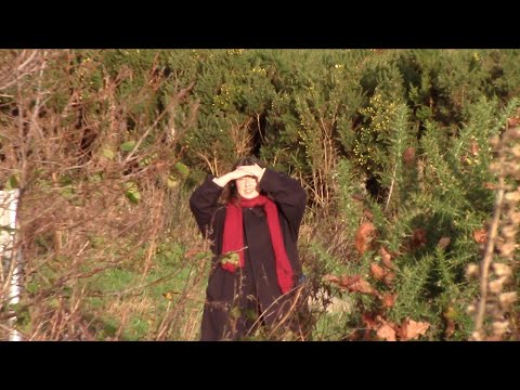 Katie Gregson-MacLeod - Teenage Love (Lyric Video)