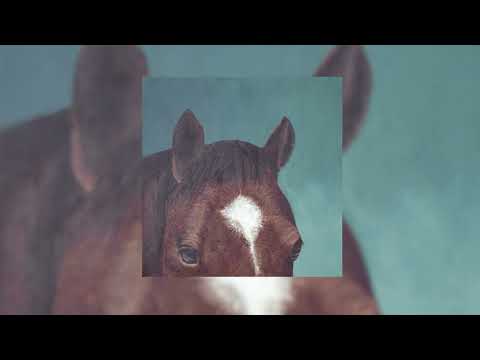 alsina.carson - El Bagual (Full Mixtape)