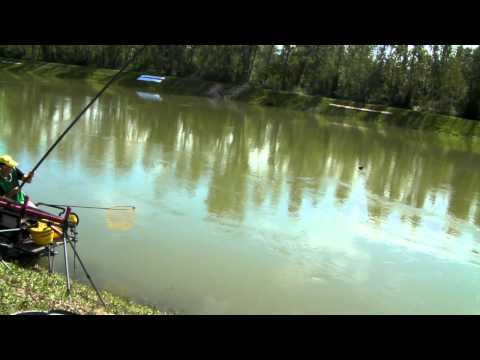 61st Coarse Angling World Championship - Walton, Phillip - Ireland