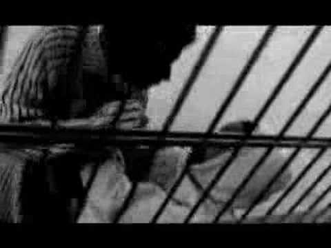 Video thumbnail for 24 ans de rap mon �ge