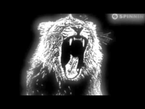 Turn it Down Festival Animals - Kaskade vs Martin Garrix vs Cockies & Milk vs Anthem Kingz (B3TOMIX)