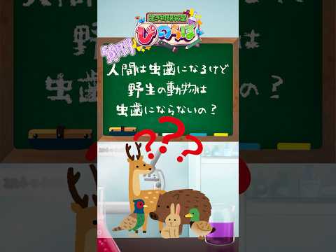 ưʪˤʤʤΡ #shorts