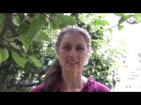 Wah! talks about Self-Healing - Meditation