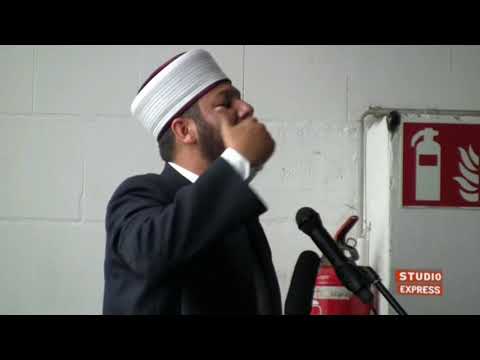 Epshi dhe ndikimi i tij ne perqarje.