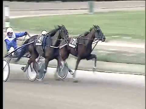 Trotto 03/11/2017 - 1ª corsa