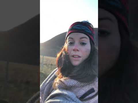 Visiting Alladale Wilderness Reserve