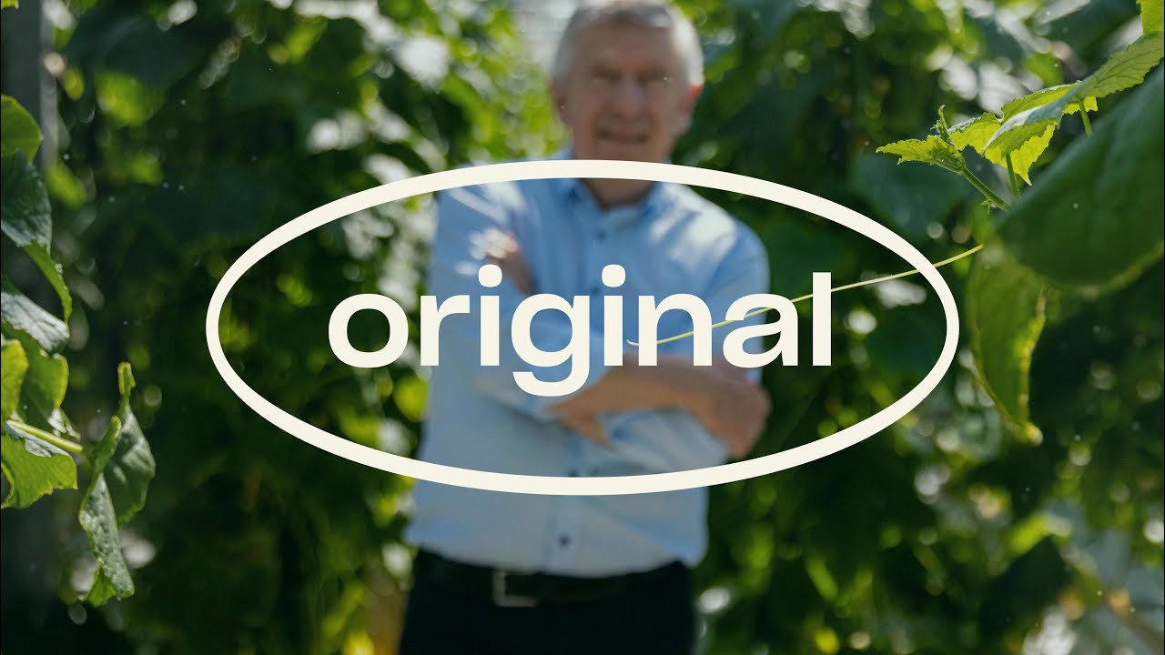 Video preview poster