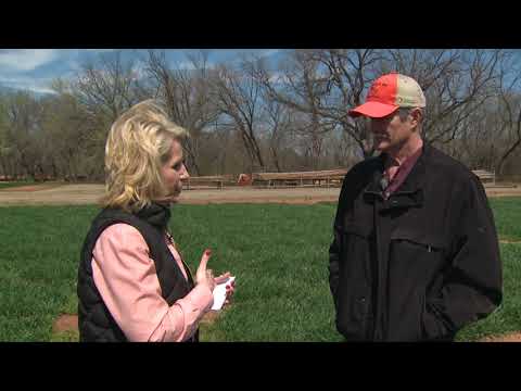 Limiting wheat disease - Start scouting early (3/24/18)