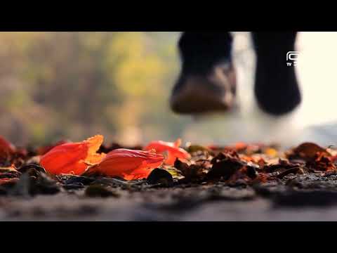 TV KANAL 9, NOVI SAD: HUMANITARNA TRKA „DOK DIŠEM, NADAM SE“