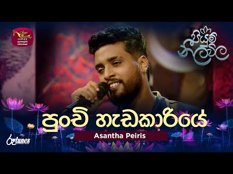 Punchi Hadakariye (Cover Song) | පුංචි හැඩකාරියේ | Asantha Peiris  | Piyum Neela Vila | Roo Tunes