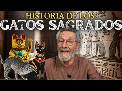 Sacred Cats: Guardians, Symbols, and Ancient Legends