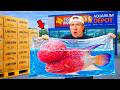 I Bought Fish from Every Fish Store...