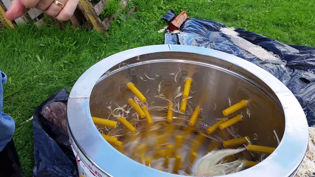 Starpluck SP-1 Chicken Plucker In Action.