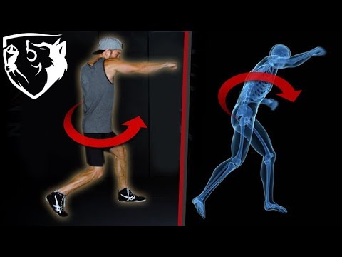 The Perfect Punch: Body Rotation Biomechanics