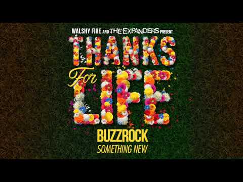 Buzzrock- Something New | Thanks For Life Riddim