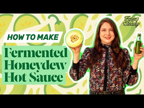 How to Make Fermented Honeydew Hot Sauce