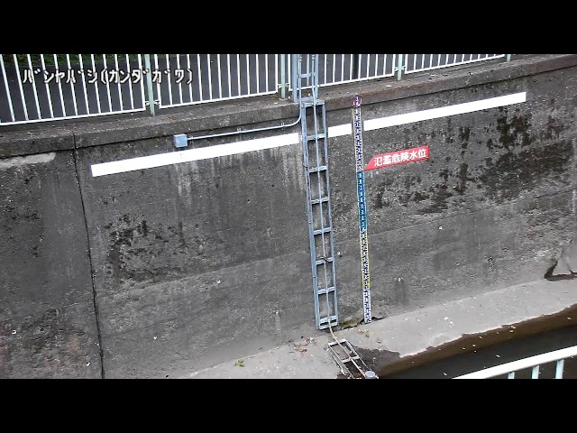 番屋橋映像監視局