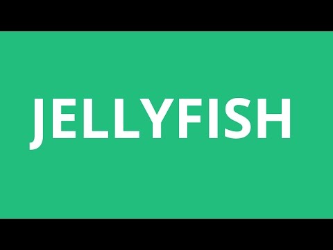 How To Pronounce Jellyfish - Pronunciation Academy