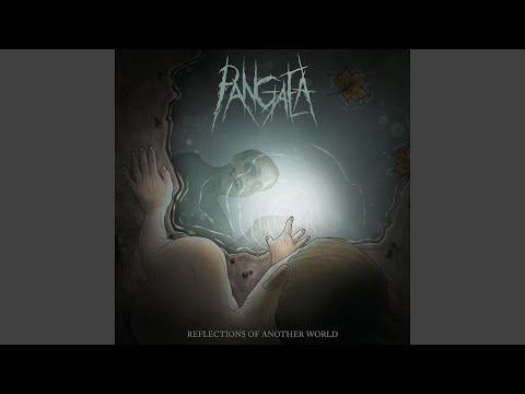 Reflections of Another World