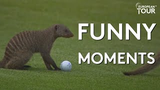 Funniest Moments of 2019