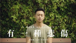 A-Lin -《有一種悲傷 A Kind of Sorrow》【Sam Lin Cover】