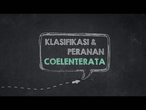 gyógynövények parazitákból és gombákból